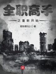 全职高手之开始旅行 全职高手之开始旅行