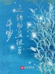 斗罗之辅助升级系统爱看书吧