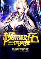 校花的极品特工女主角