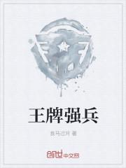 王牌兵团 王牌兵团