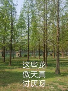 现在都是龙傲天文 现在都是龙傲天文