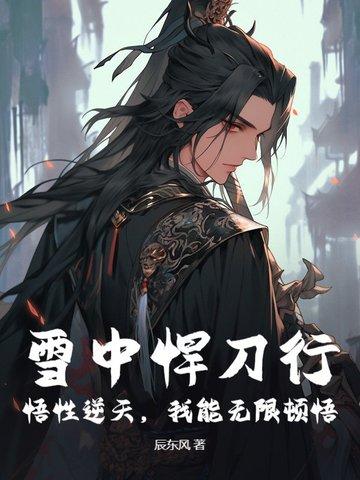 雪中悍刀行感悟 雪中悍刀行感悟