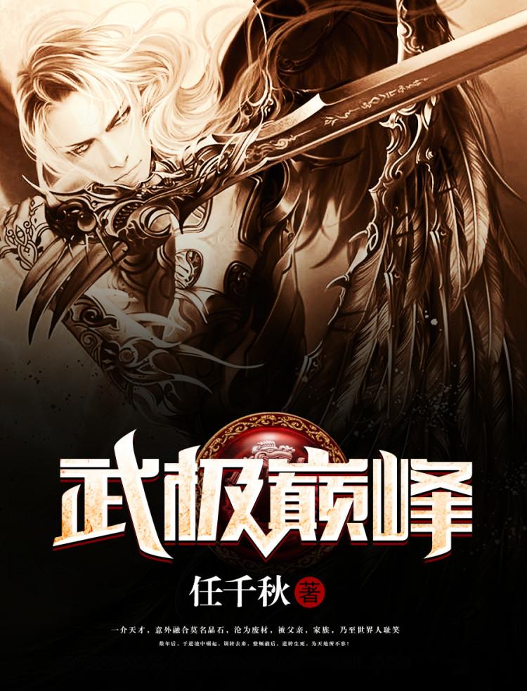 武极巅峰是什么意思 武极巅峰是什么意思