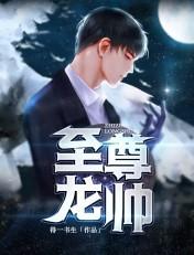 至尊龙帅电视剧全集免费观看