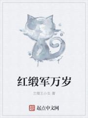 红缎军万岁 红缎军万岁