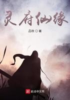 灵府仙缘 灵府仙缘